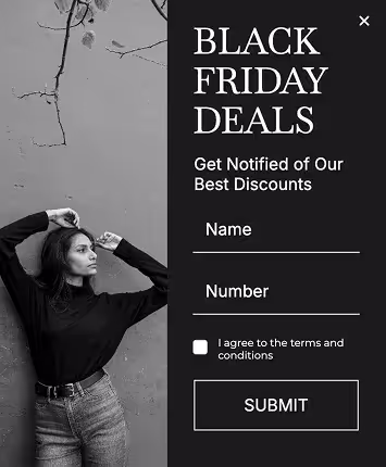 Seasonal Email Subscription Popup