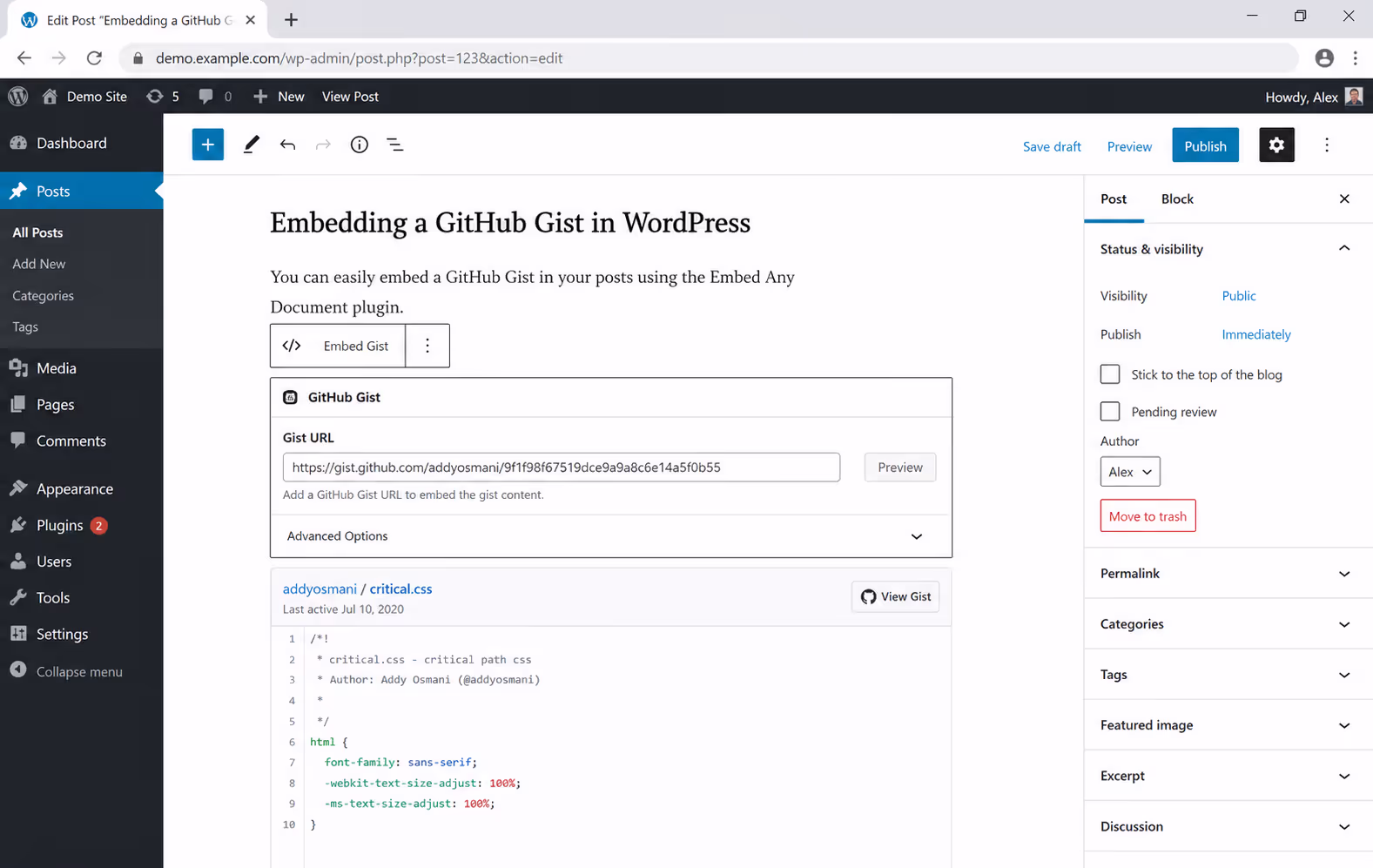 WordPress Plugin