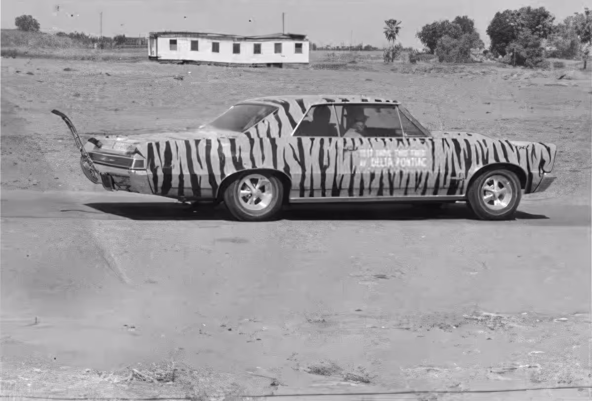 Delta Pontiac tiger GTO test car with tiger stripes and tail.
