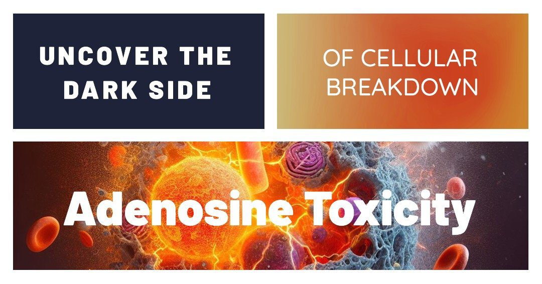 Unveiling the Hidden Perils of Adenosine Toxicity