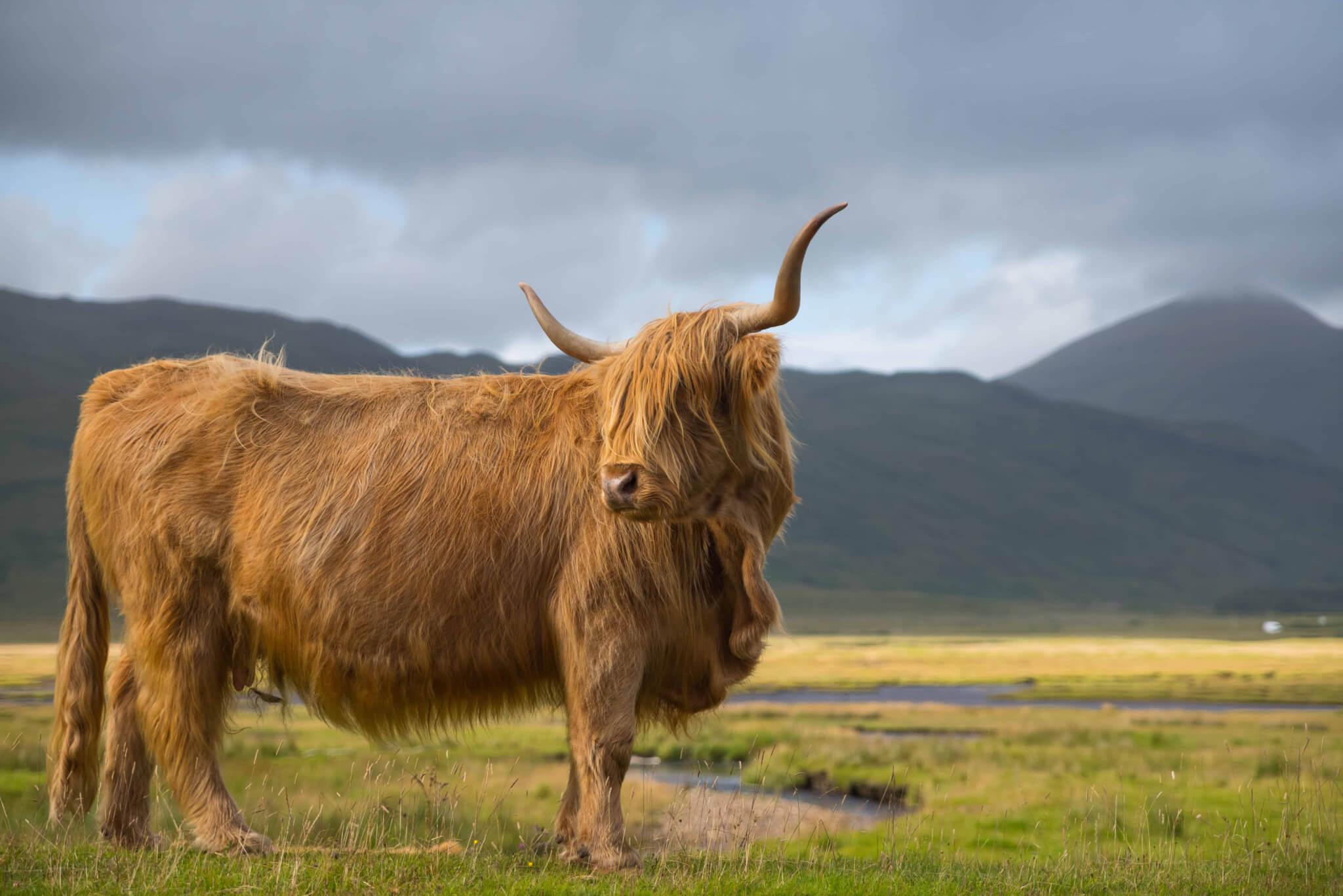 Is eating meat bad for the environment? The truth about farming