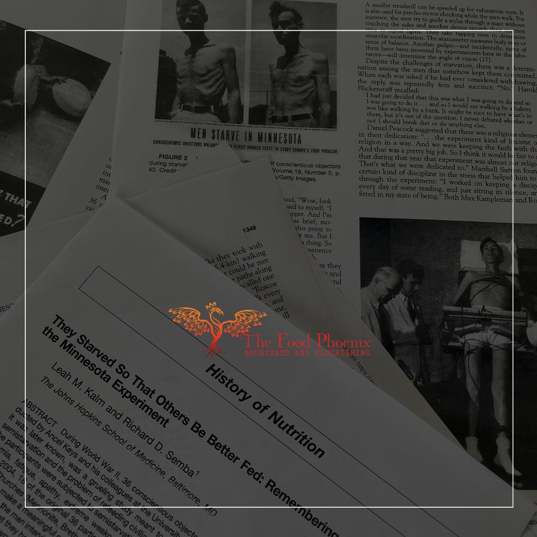 A flat lay of overlapping pages from nutrition history articles and archival photos about the Minnesota starvation experiment, with The Food Phoenix logo centered on top.
