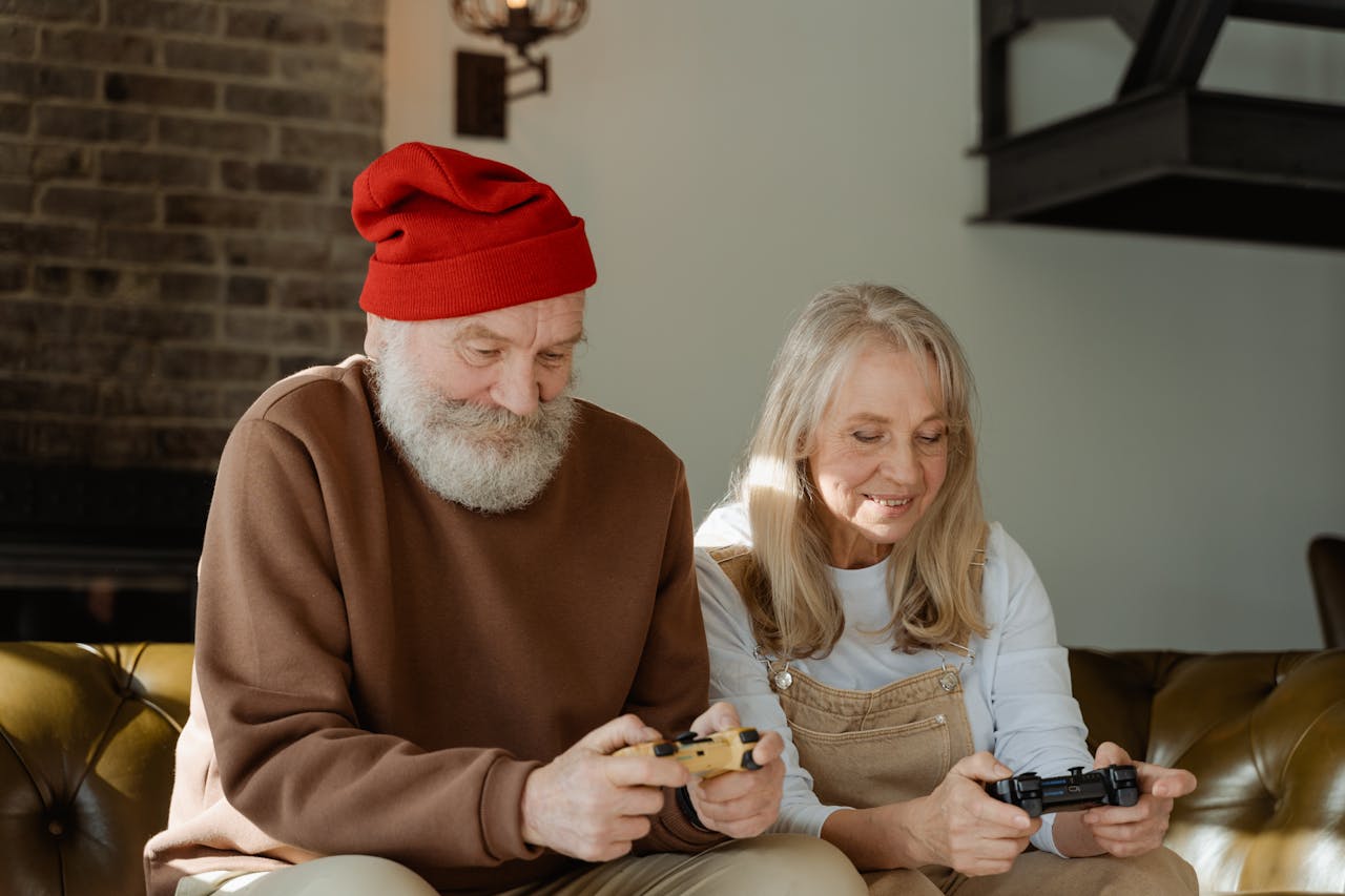 House Sitting for Seniors House Sitting for Seniors