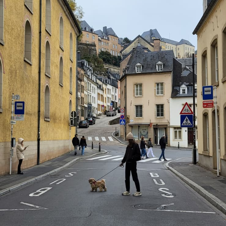Caro walking a dog in Luxembourg Caro walking a dog in Luxembourg