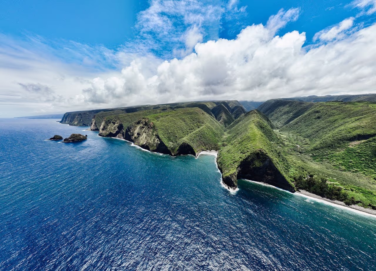 Hawaii for house sitting Hawaii for house sitting