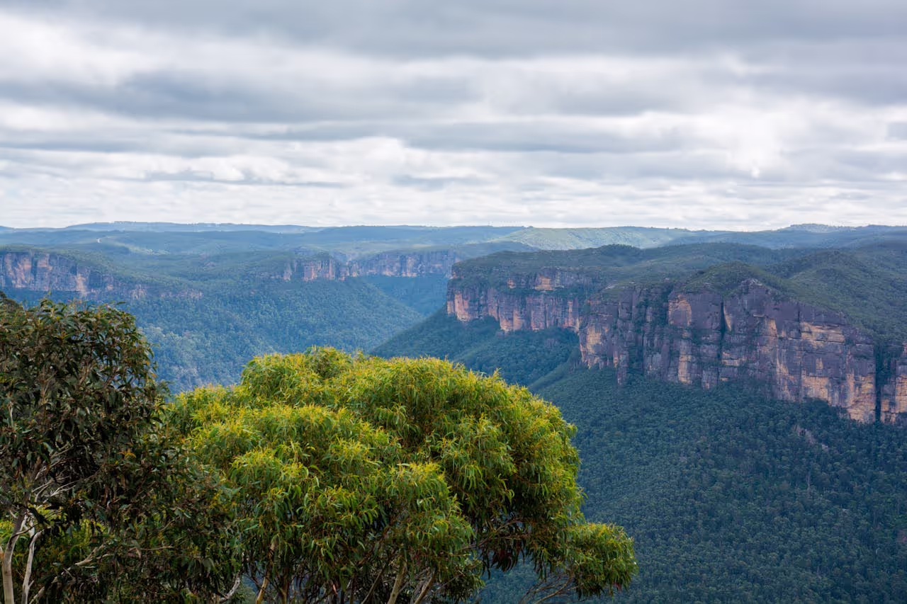 Blue Mountains NSW Blue Mountains NSW