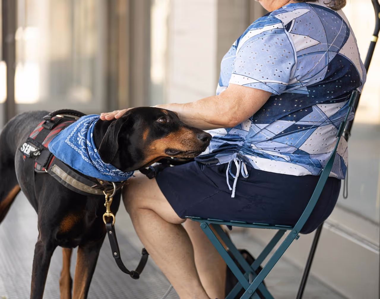 Dog being petted by a house sitter during a split sit Dog being petted by a house sitter during a split sit