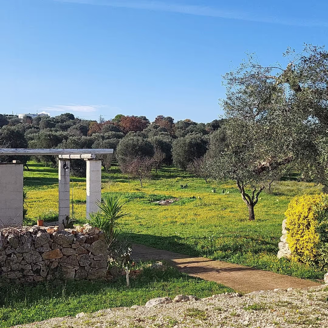 House sit in Ostuni, Italy House sit in Ostuni, Italy