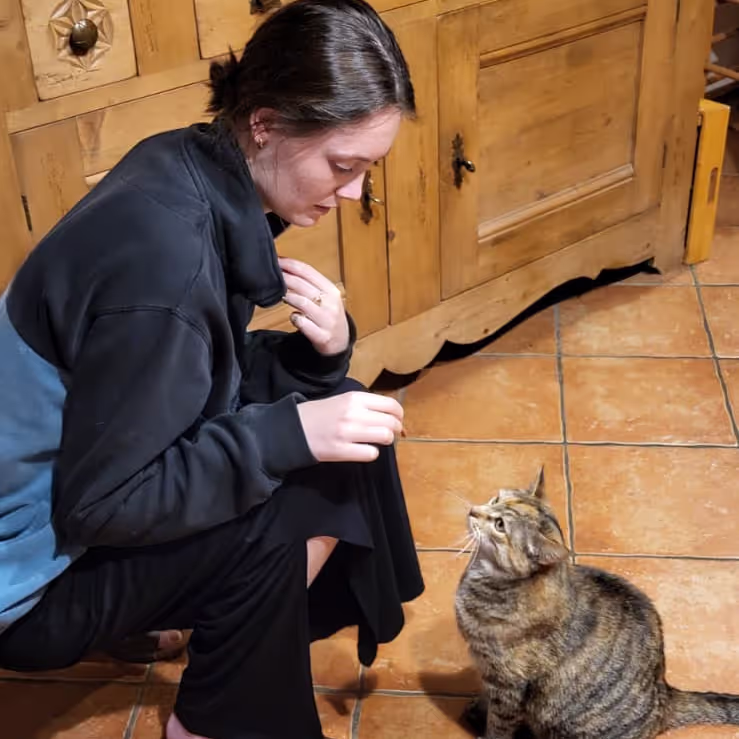 Caro feeding a cat in Lullin France Caro feeding a cat in Lullin France