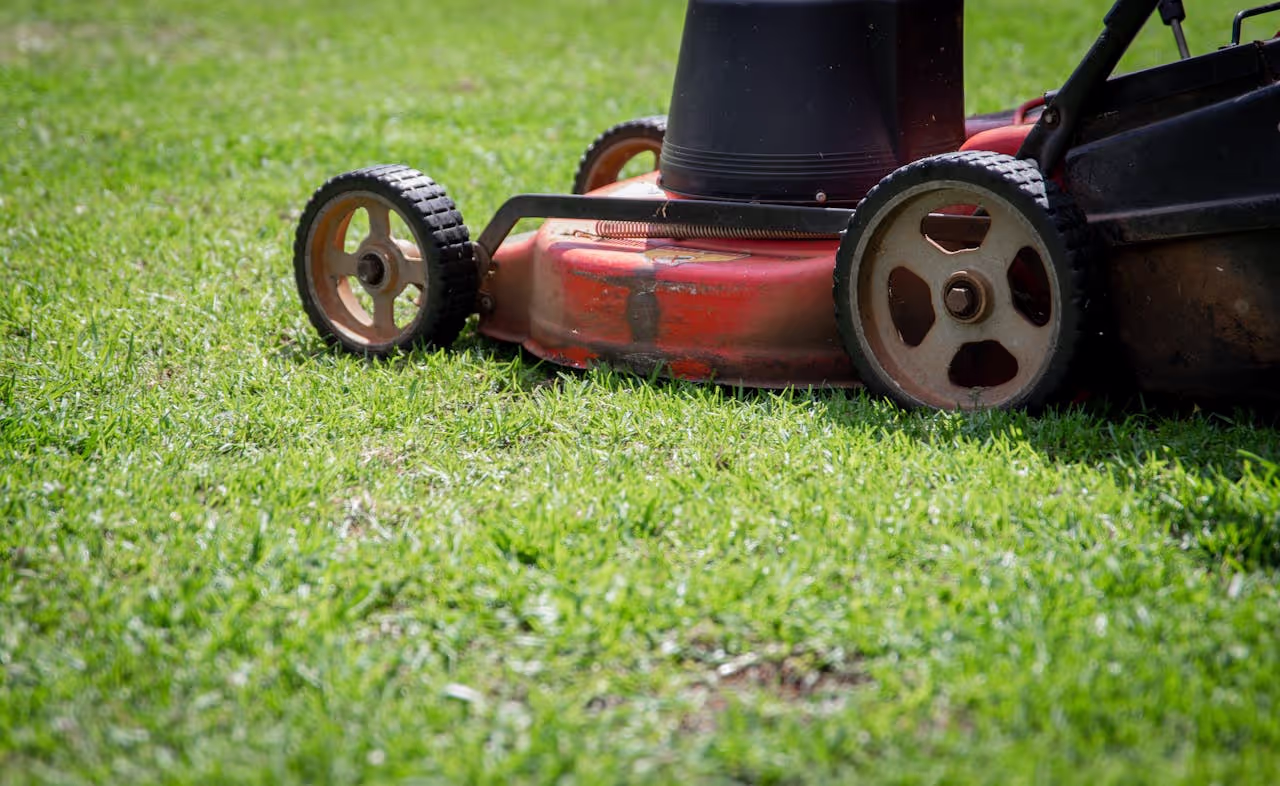 mowing the lawn on a house sit