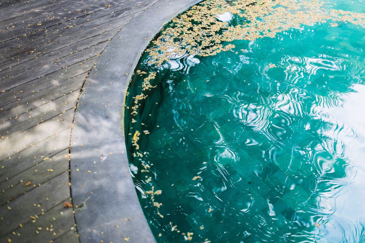 A pool that has flowers and leaves on the surface and requires skimming A pool that has flowers and leaves on the surface and requires skimming