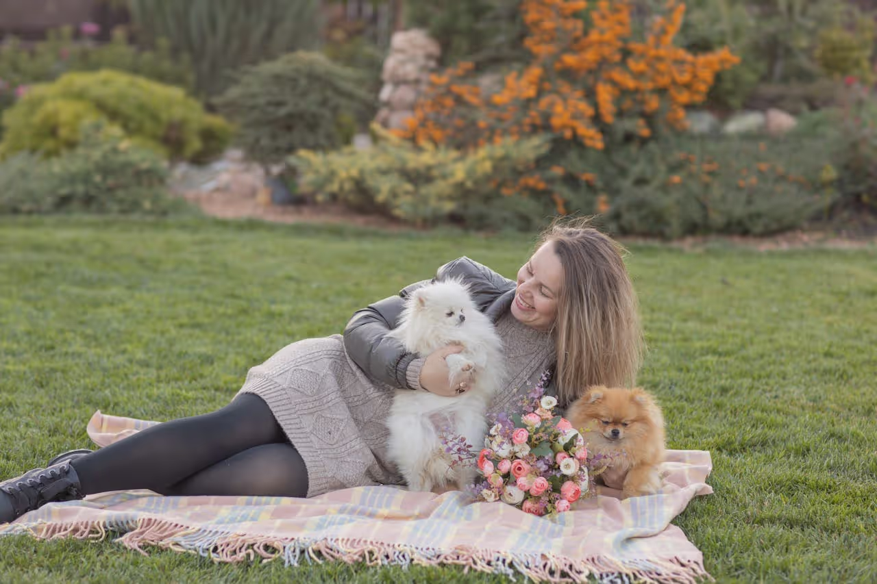 Woman on a picnic basket with pomeranians Woman on a picnic basket with pomeranians