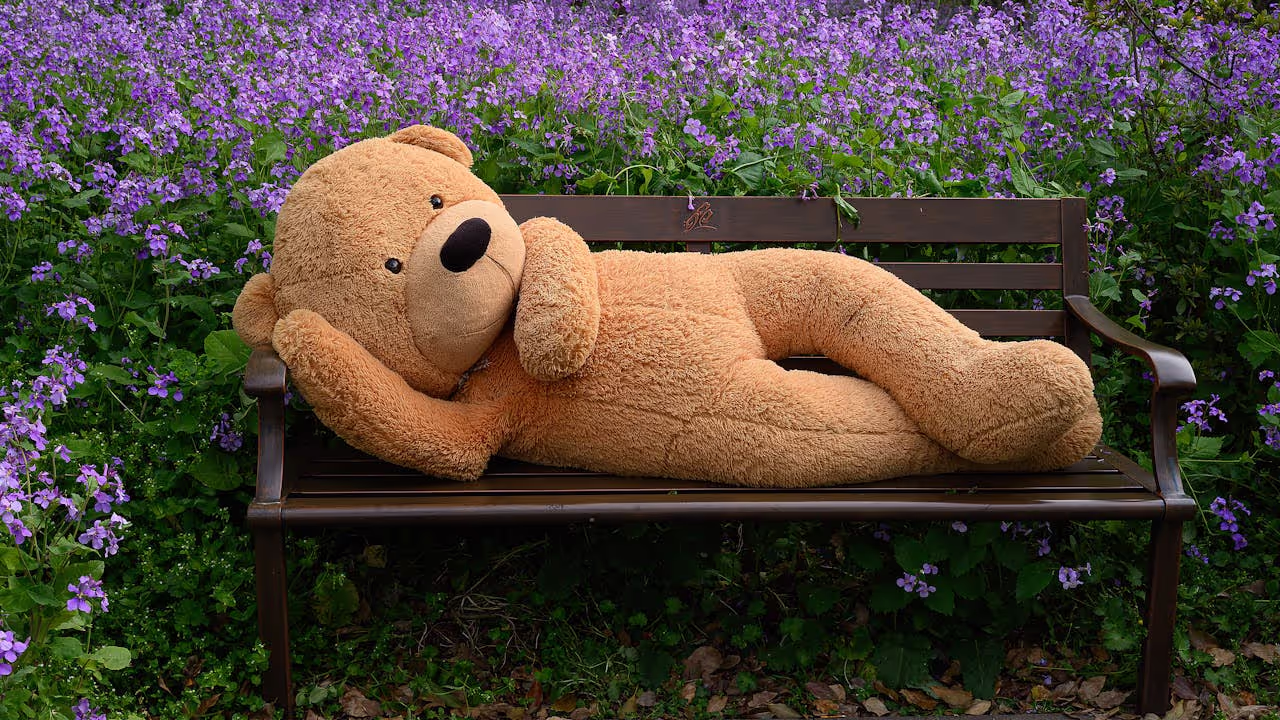 Cuddle toy bear laying on a park bench Cuddle toy bear laying on a park bench