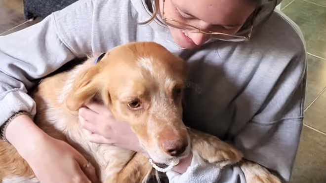 Caro looking after the dog during our house sit in Valencia