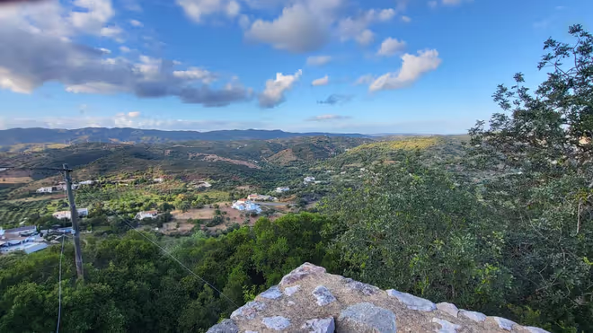House sit in Portugal