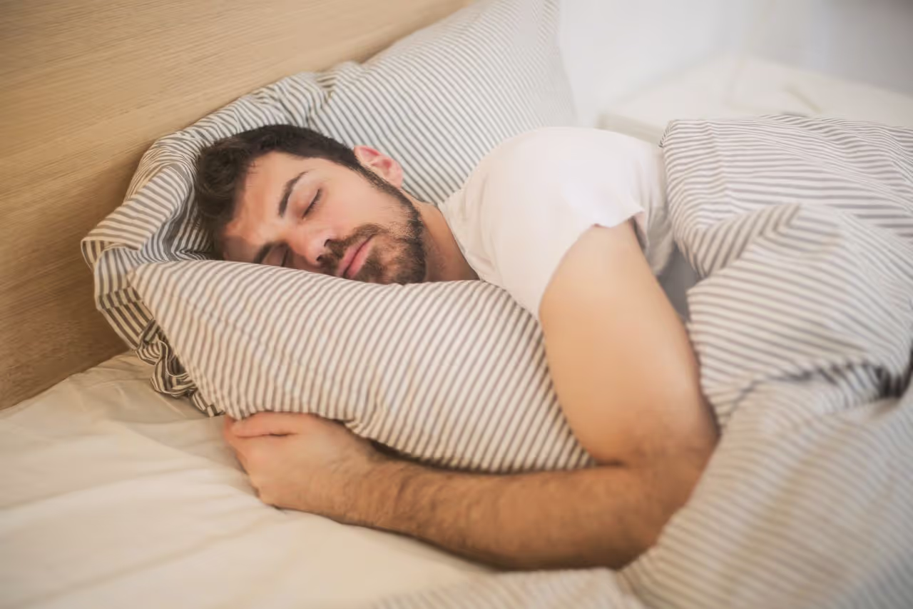a house sitter sleeping in a new bed a house sitter sleeping in a new bed