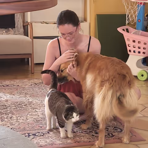 Caro with a dog and cat in Manosque Caro with a dog and cat in Manosque