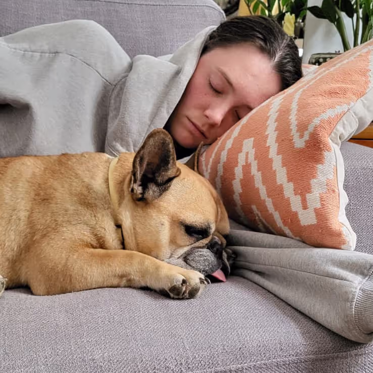 Caro falling asleep next to the french bulldog Caro falling asleep next to the french bulldog