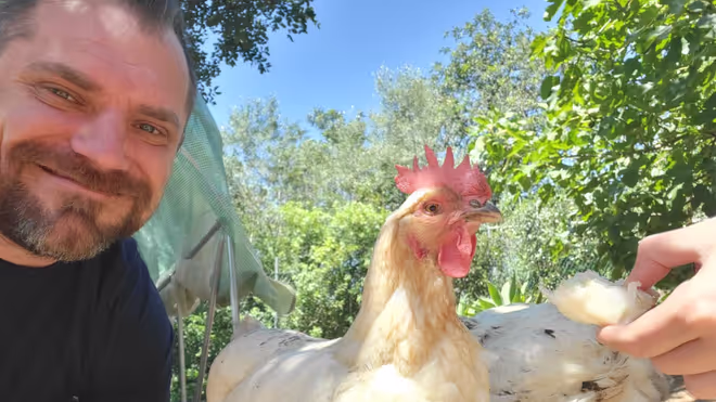 Konrad looking after chickens in Portugal Konrad looking after chickens in Portugal