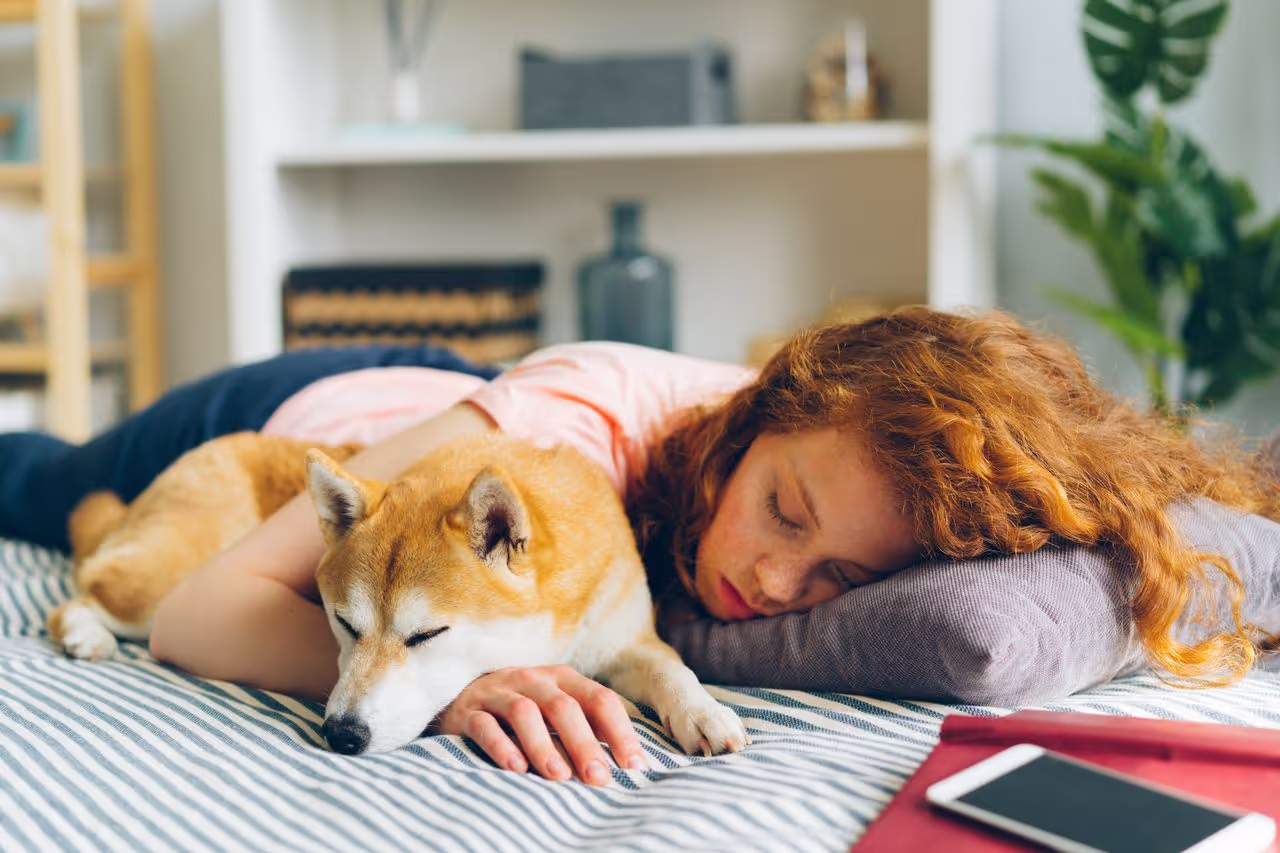A tired person with a pet A tired person with a pet