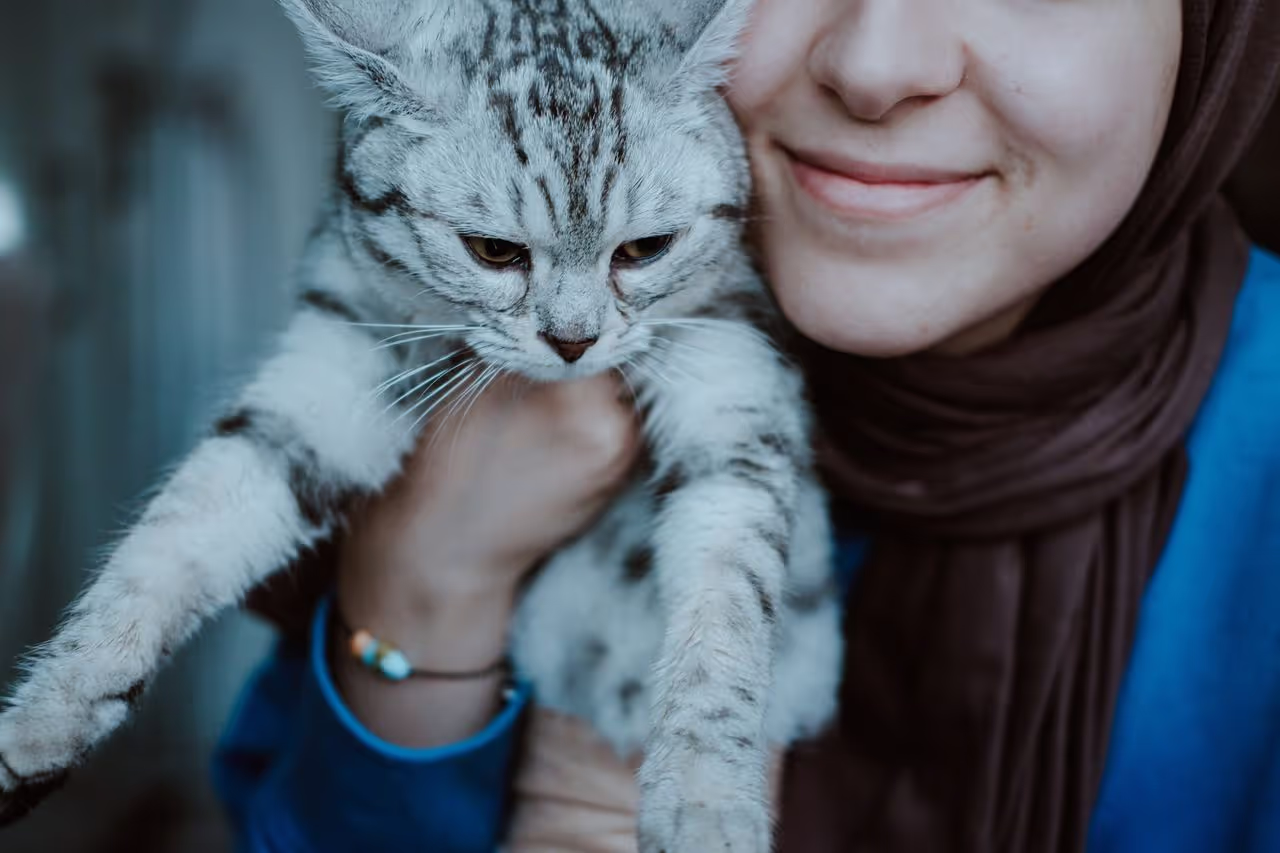 A house sitter with a cat A house sitter with a cat
