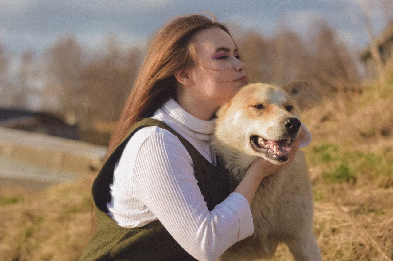 A house sitter looking after a dog A house sitter looking after a dog