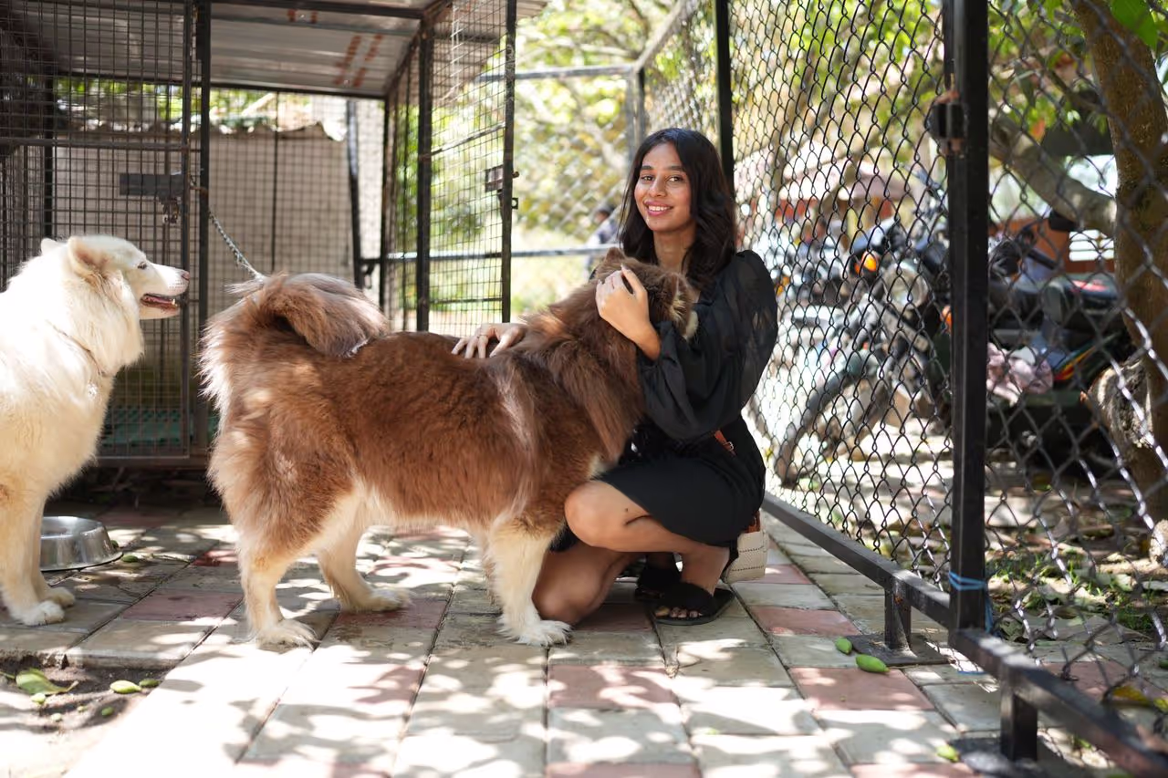 A boarding house for dogs A boarding house for dogs