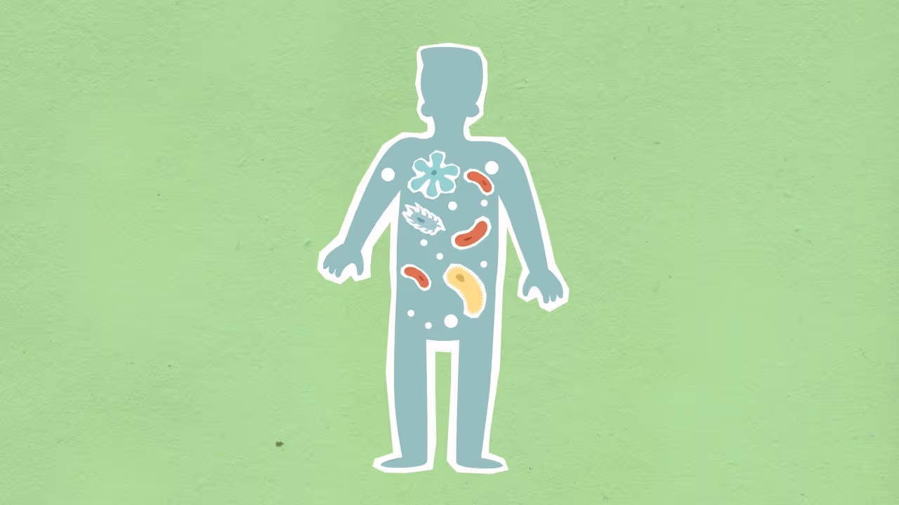 Does house sitting increase your gut bacteria Does house sitting increase your gut bacteria