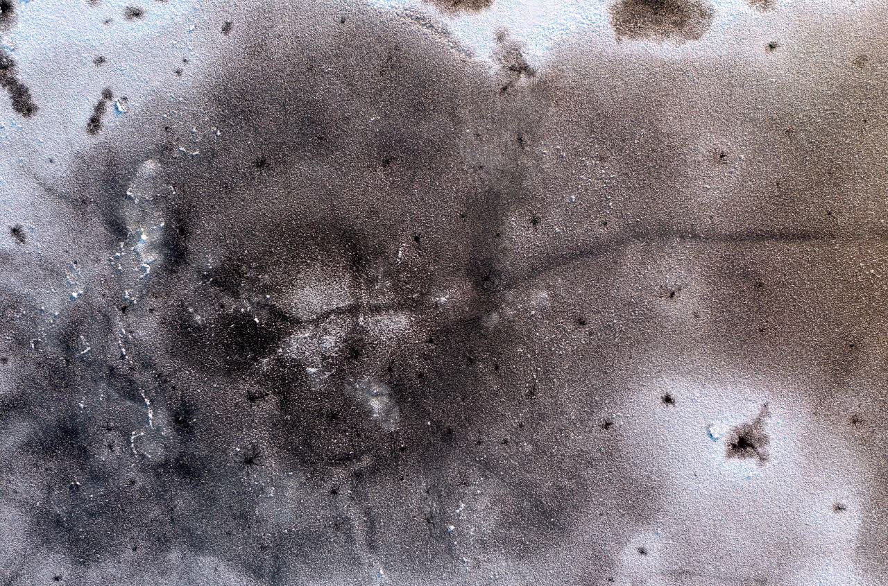 Black mould on the wall Black mould on the wall