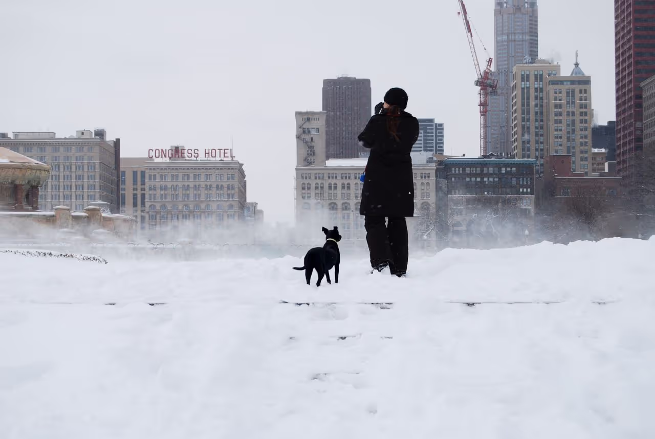 Walking a dog during winter in Chicago Walking a dog during winter in Chicago