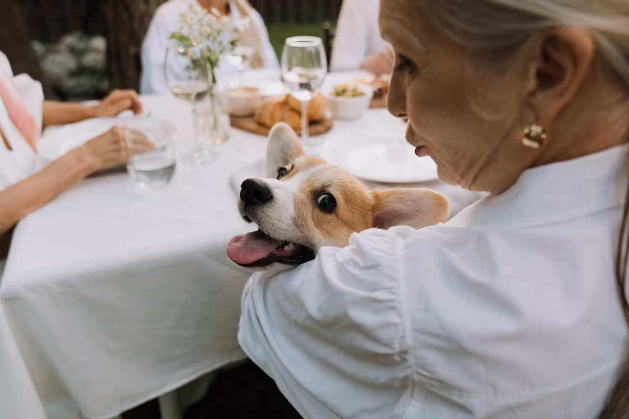 A woman snuggling a corgi that is super happy A woman snuggling a corgi that is super happy