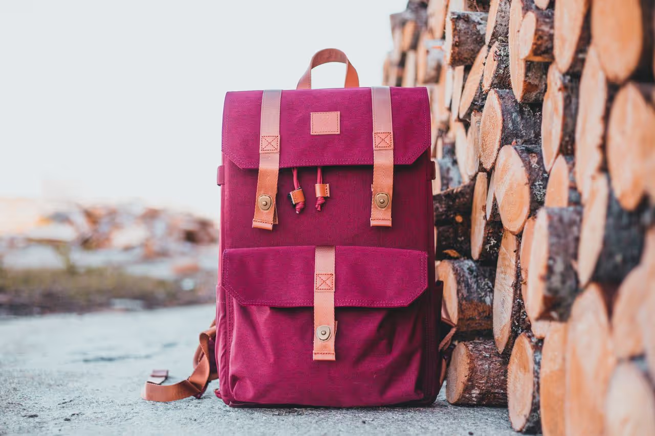 Small backpack with everything needed for the house sit Small backpack with everything needed for the house sit