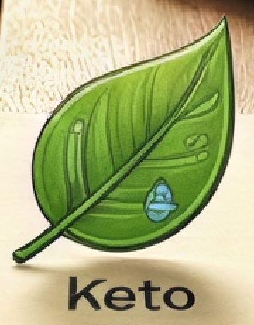 Leaf representing Ketogenic lifestyle