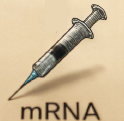 Image of syringe and mRNA text